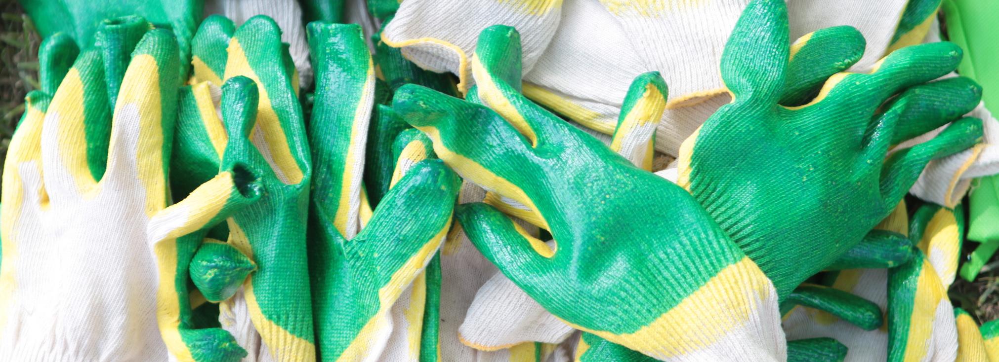 Новосибирцы стали чаще доверять чистоту в квартирах профессионалам