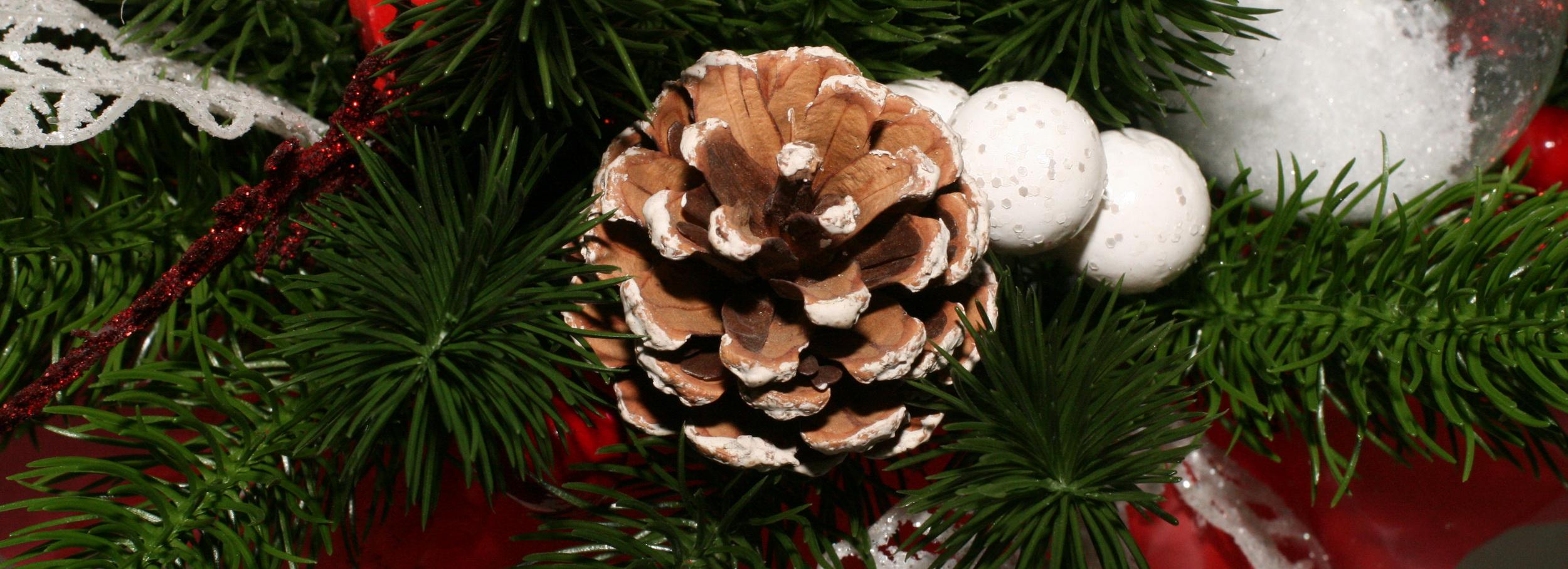 Новосибирский комбинат питания устроил ёлку со сладкими подарками