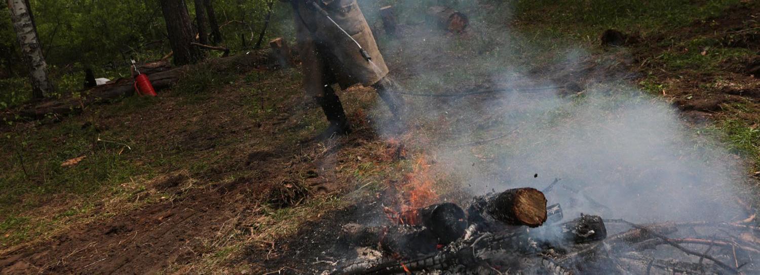 446 раз полыхали пожары из поджогов травы и мусора в Новосибирске