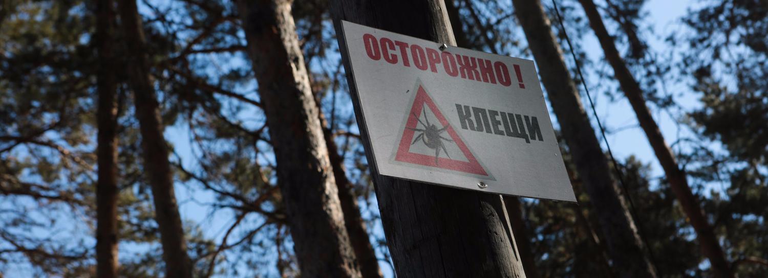 Как защитить себя от укуса клеща