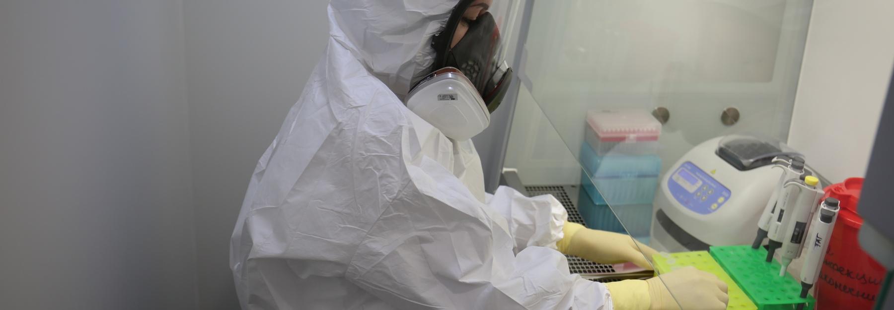 Сибирские биологи создают искусственные фрагменты генома коронавируса