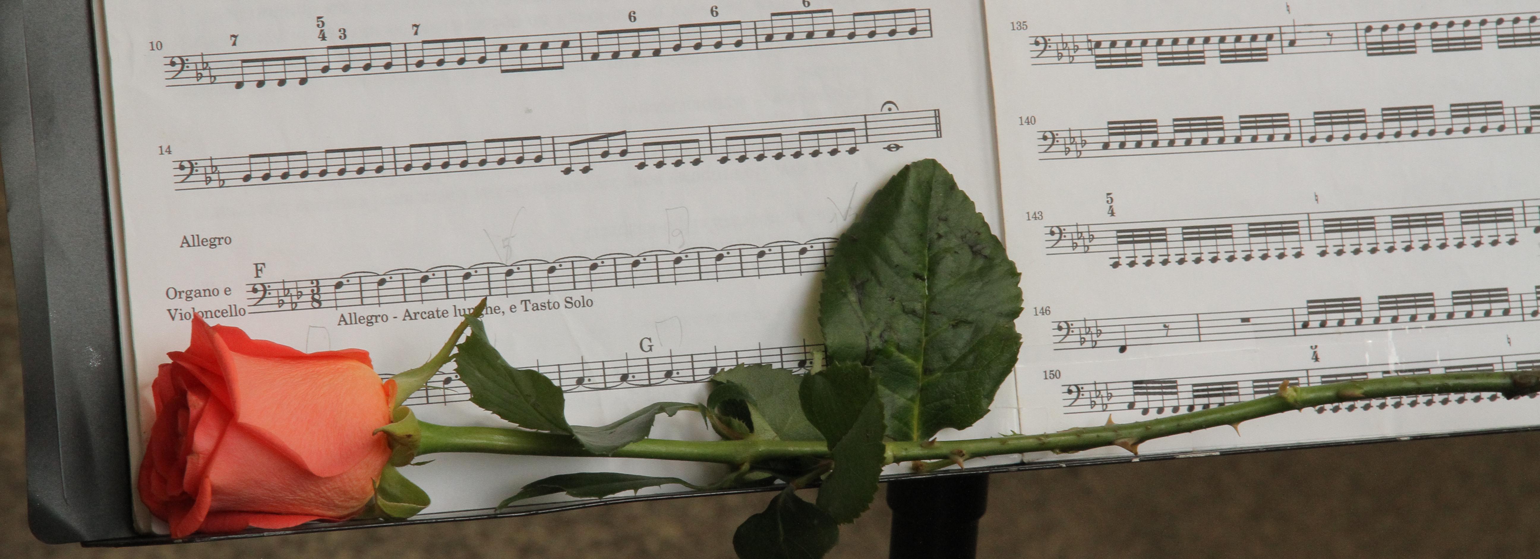 Афиша Новосибирска: куда сходить во вторник, 5 ноября