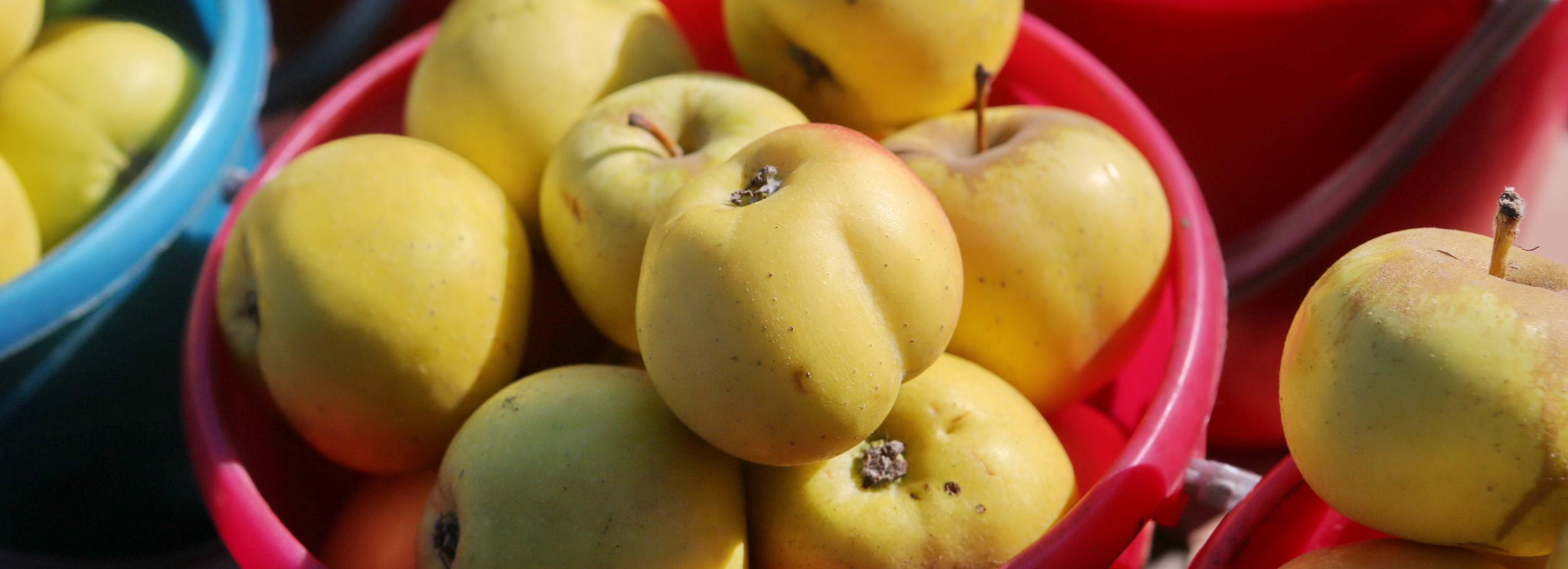 Как заготовить на зиму фрукты, овощи и травы: вкусные лайфхаки