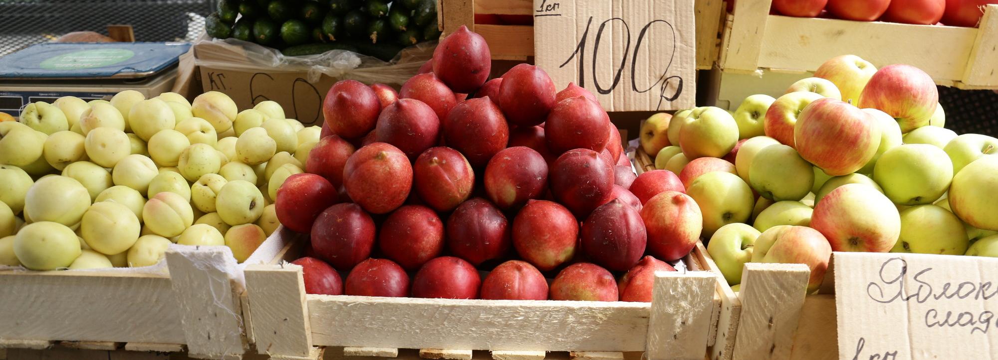 Онлайн-опрос об уличной торговле запустили в Новосибирске