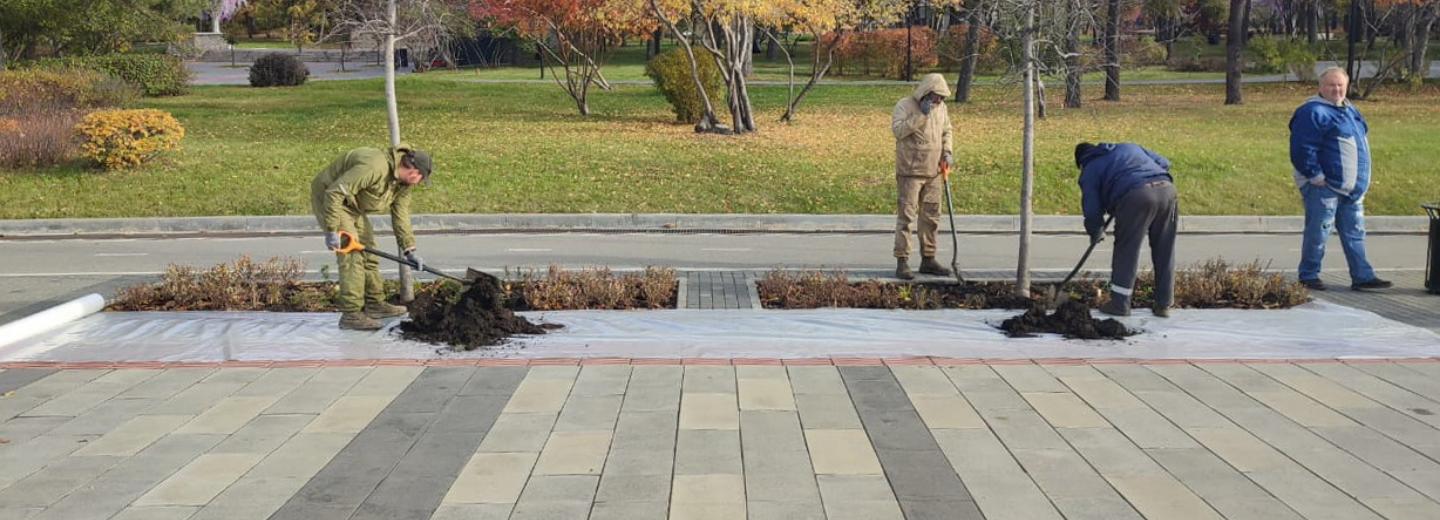 На Михайловской набережной пересаживают по росту яблони и черёмуху