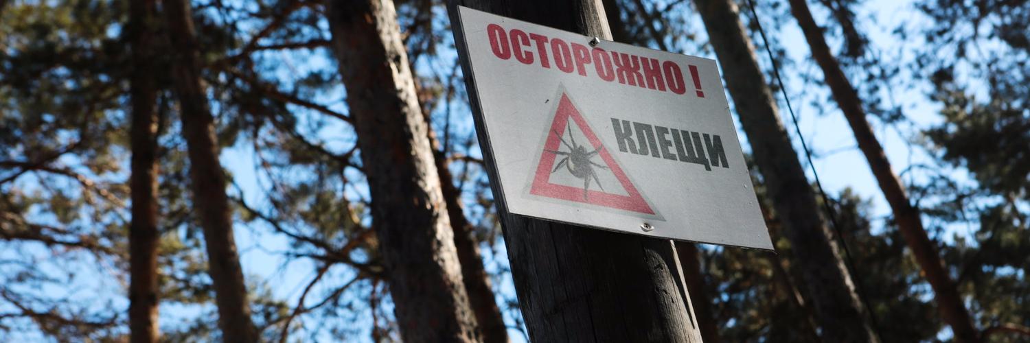 Куда бежать, если укусил клещ в Новосибирске