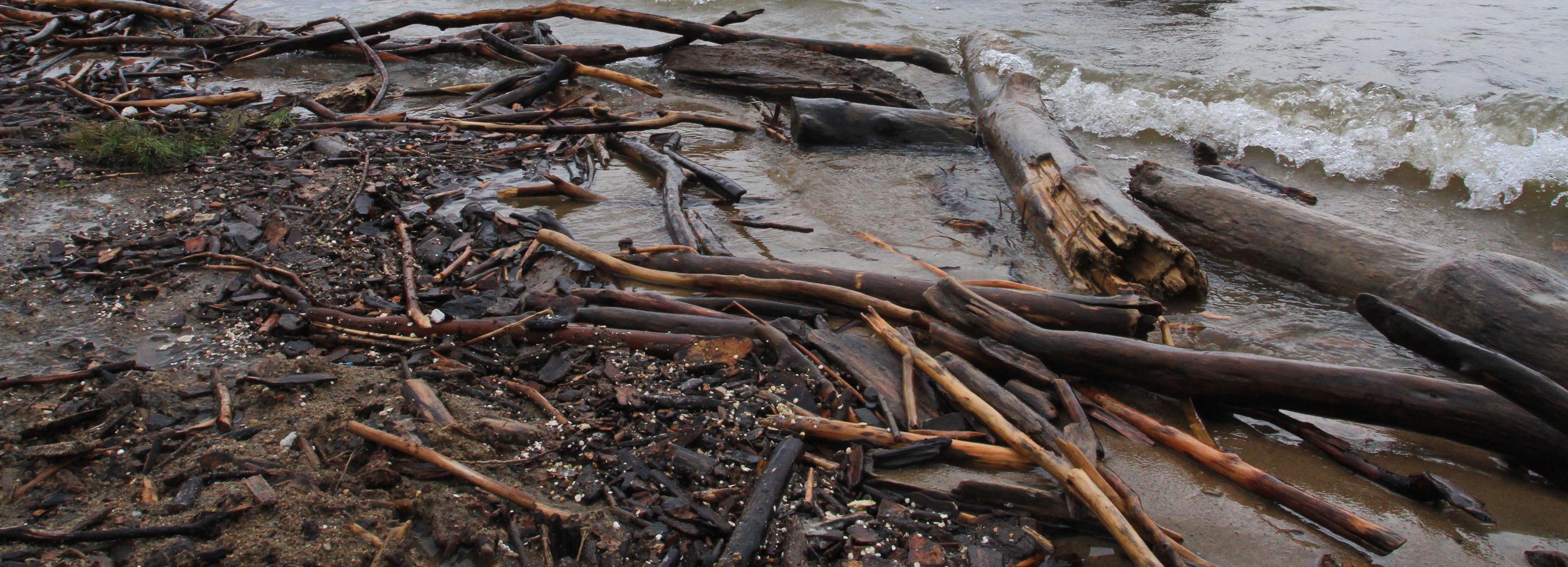 Новосибирцев предупредили о сбросе древесины в Обь ближайшей ночью