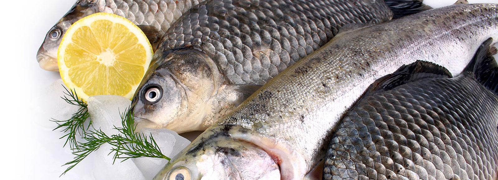 Партию карася впервые отправили из Новосибирска в Китай