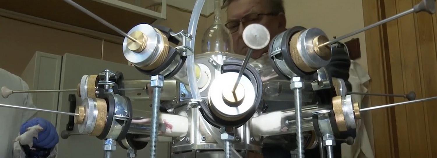 Учёные тестируют на мышах доставку аэрозолей