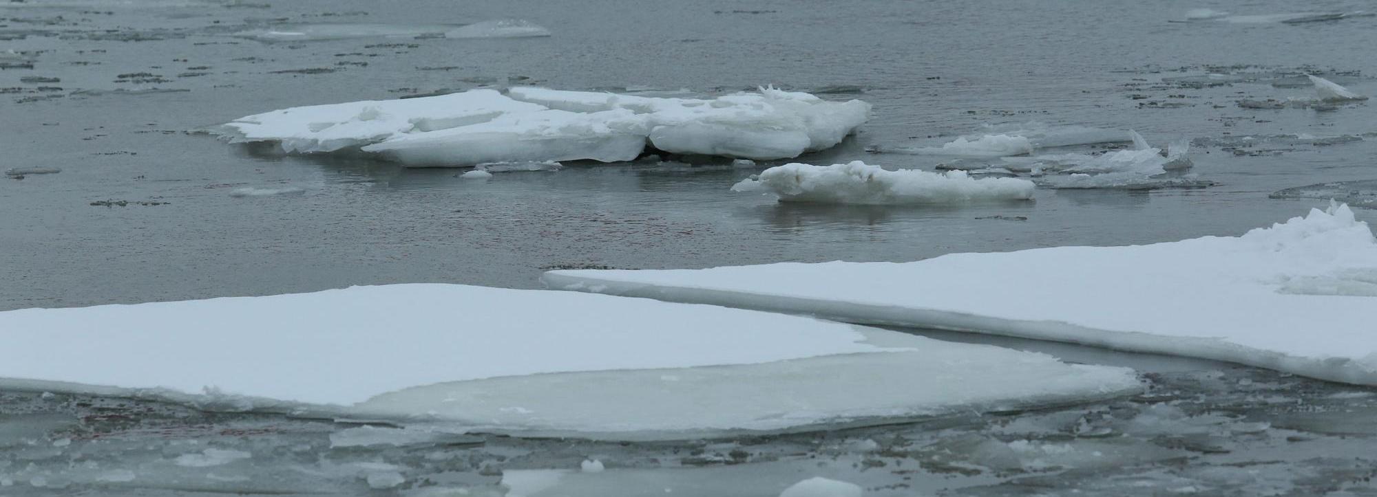 В Новосибирске двое детей вышли на неокрепший лёд реки