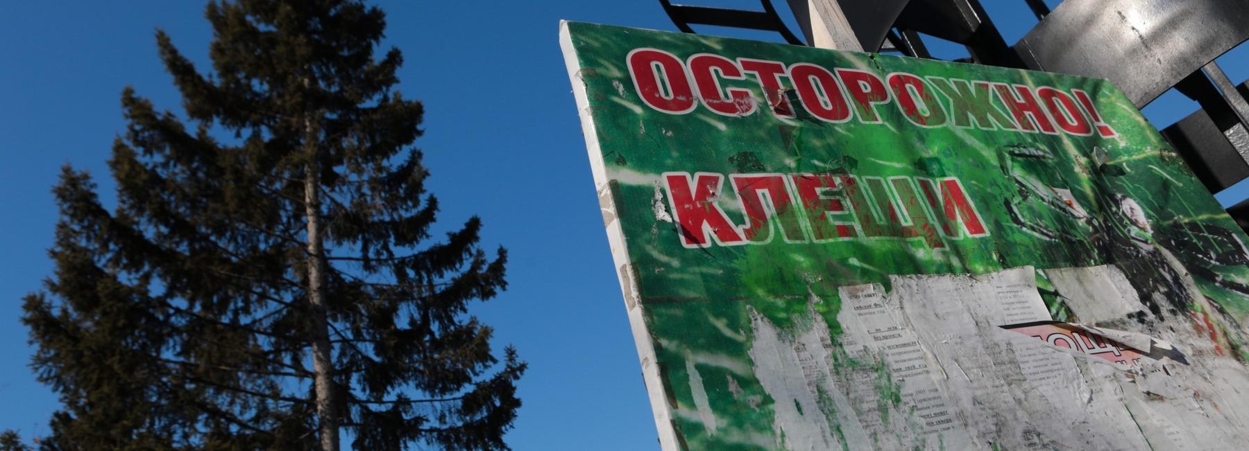 Парки, скверы, кладбища и зоопарк обработают от клещей в мае