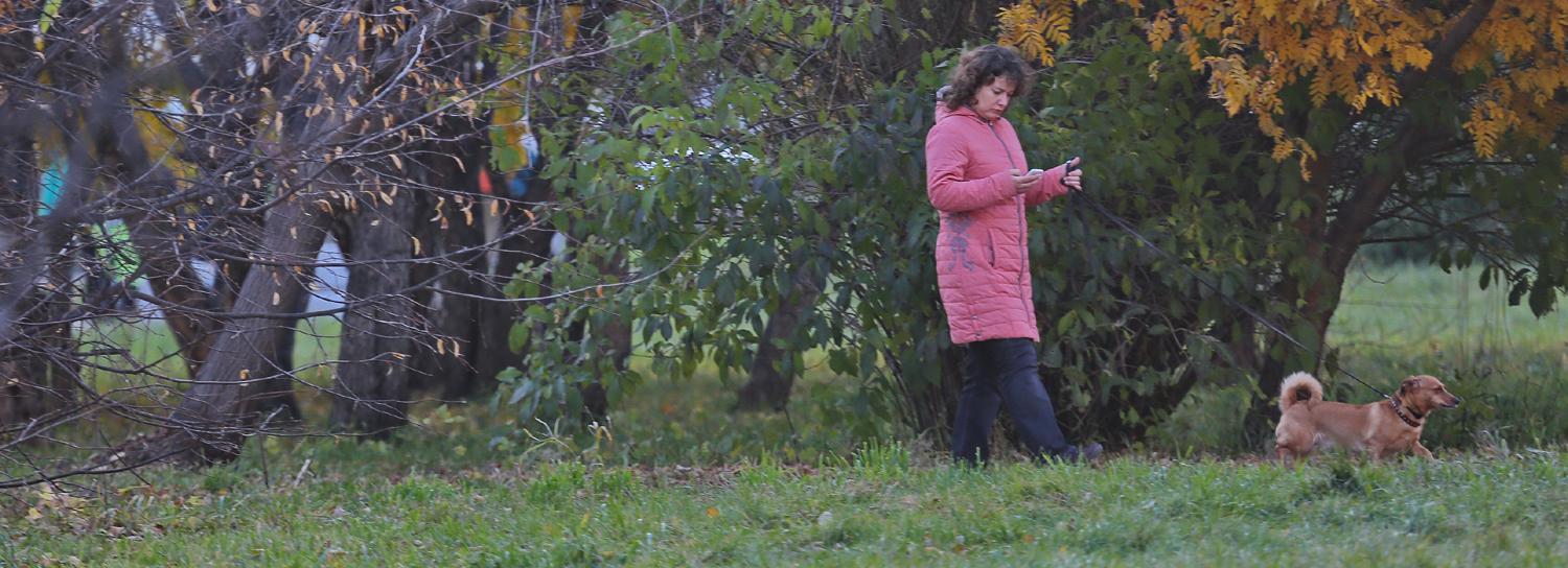 Что делать, если обижают животных