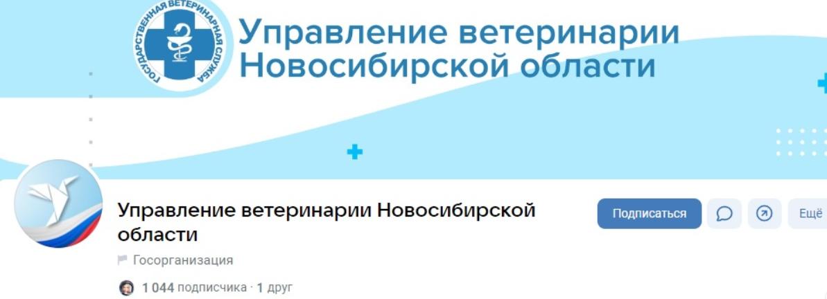 Новосибирцы начали ставить журавликов на аватарки в соцсетях
