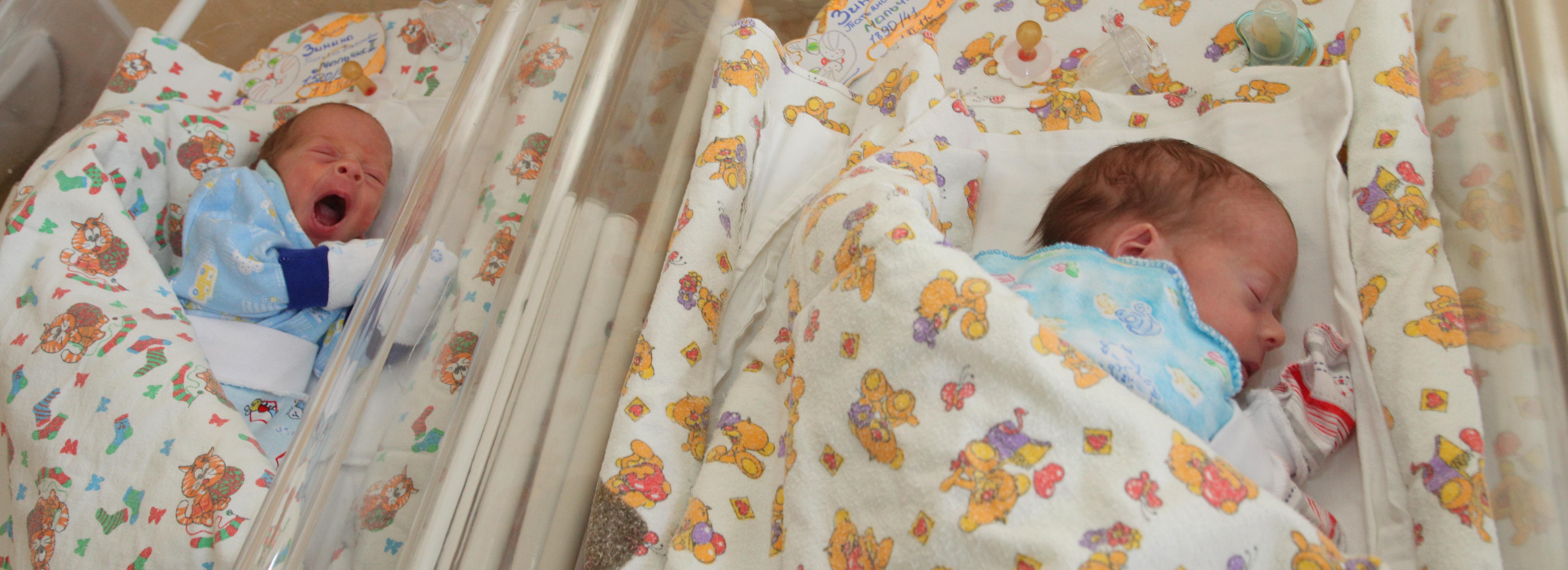 Цзиньшо, Фук Минь Дык и Злата-Слава родились в регионе в декабре