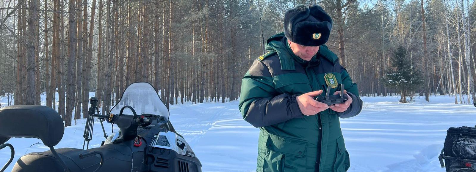 Дроны и нейросеть считают диких зверей в Новосибирской области