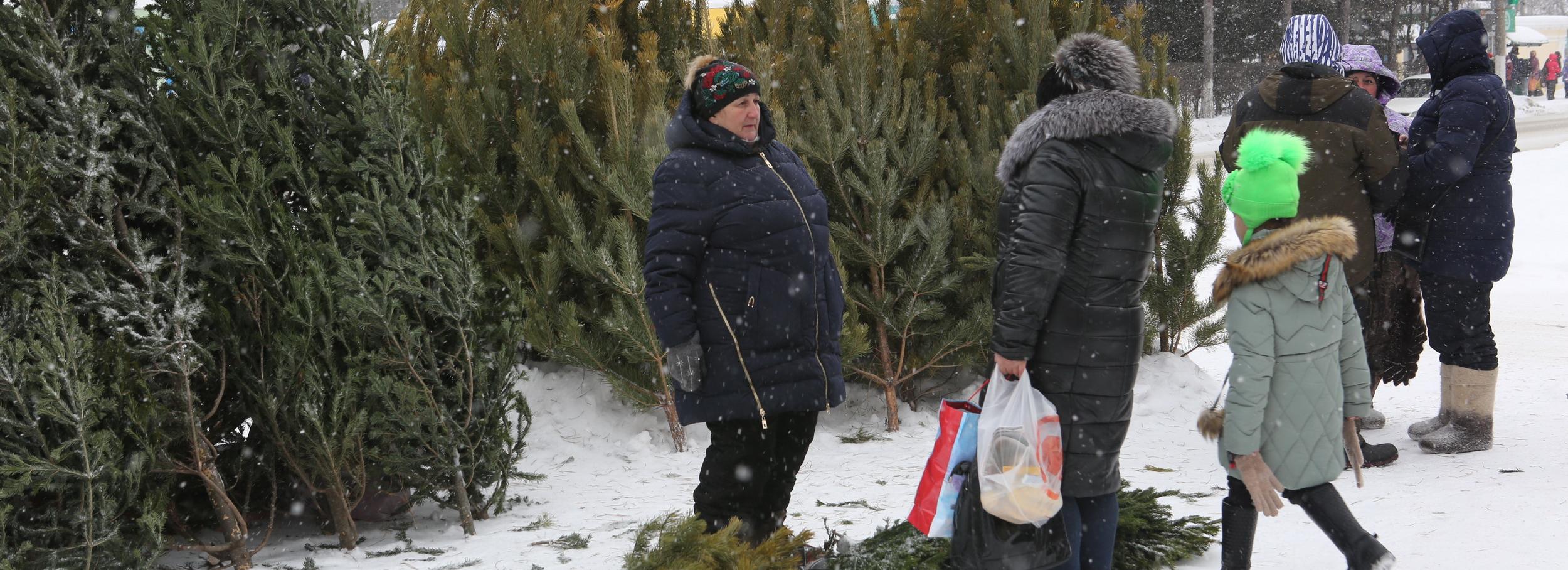 Карту с ёлочными базарами и катками создали в Новосибирске