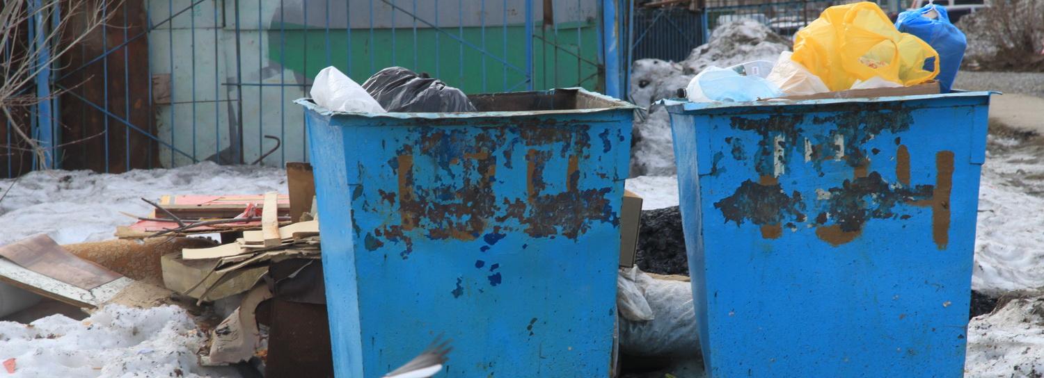 Новосибирское «Спецавтохозяйство» готово заплатить за урон экологии