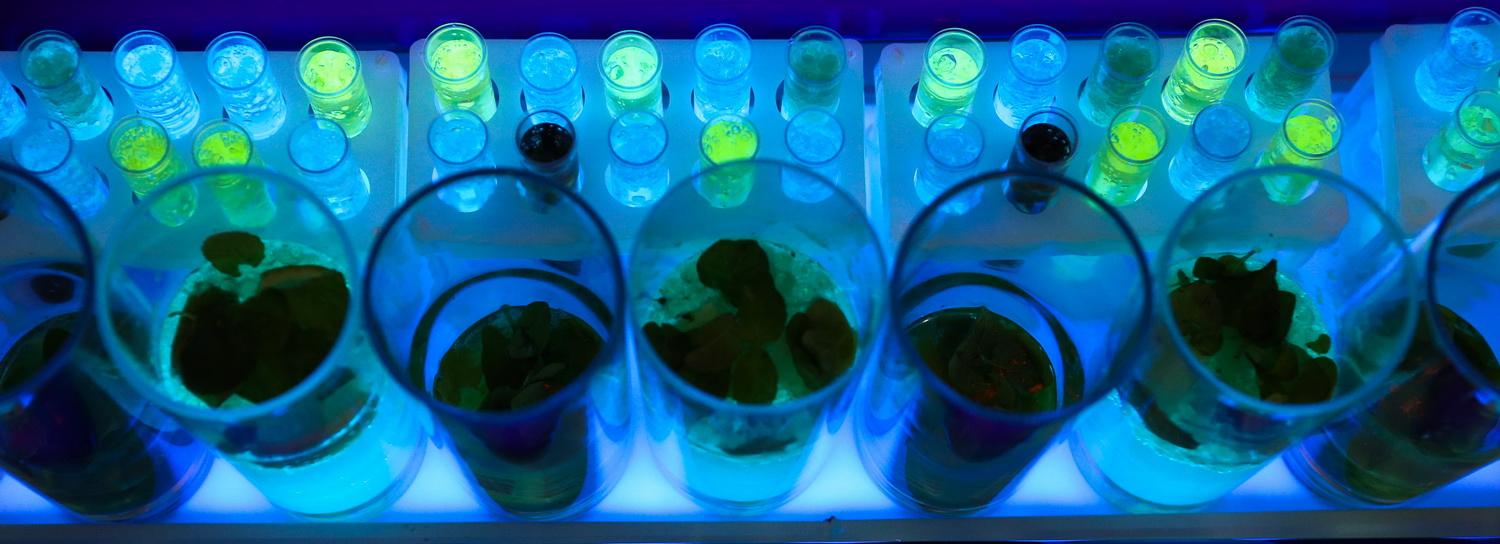 Фестиваль «Кстати» приготовил для новосибирцев завтрак с космонавтом