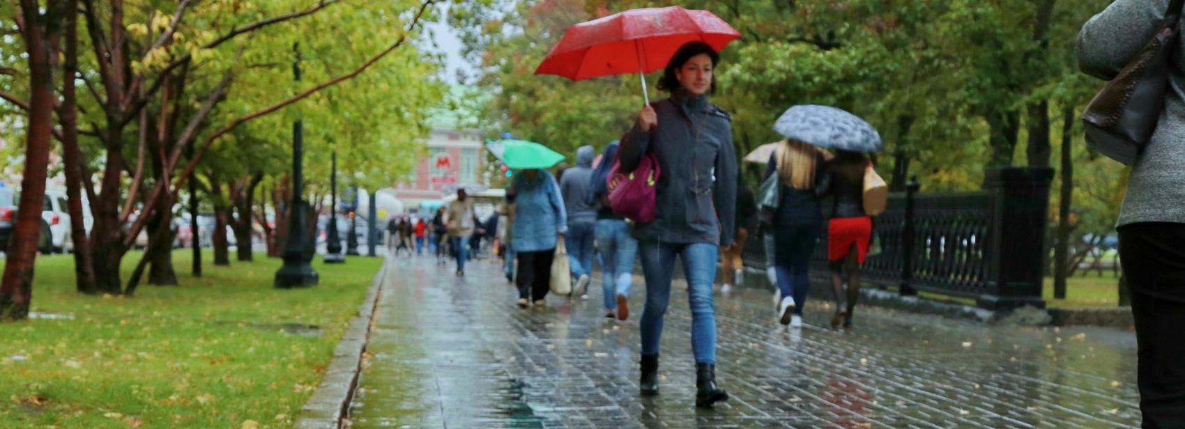 Лето, прощай: на 1 сентября синоптики прогнозируют дожди в Новосибирске