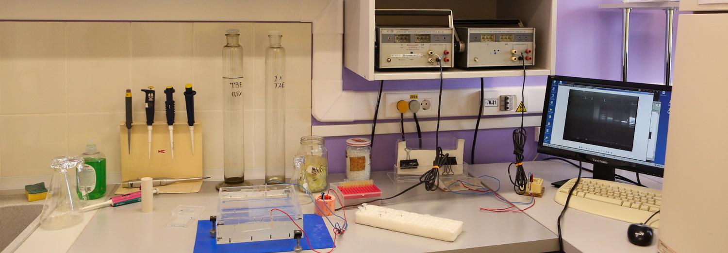 Вирусолог: «Мы вступаем в пиковую фазу коронавируса»