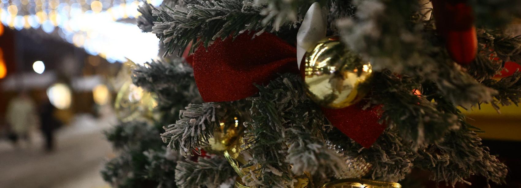 Губернаторская ёлка с «Коньком-Горбунком» пройдёт 25 и 26 декабря