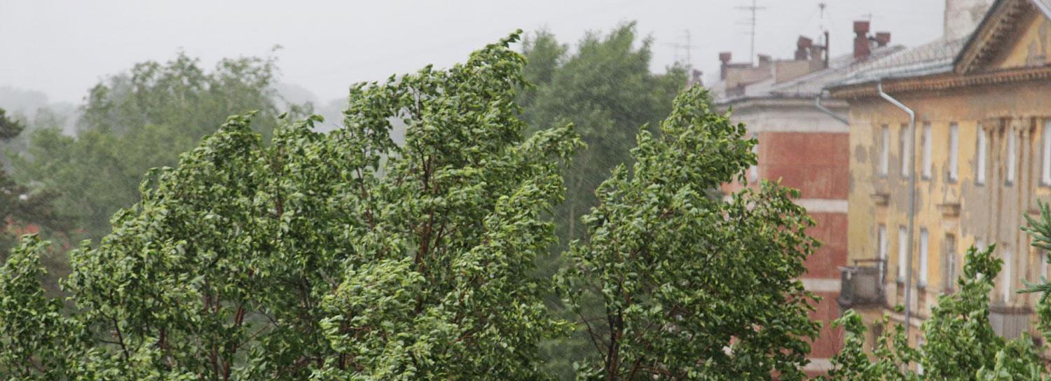 Порывистый ветер и ночные дожди идут в Новосибирск