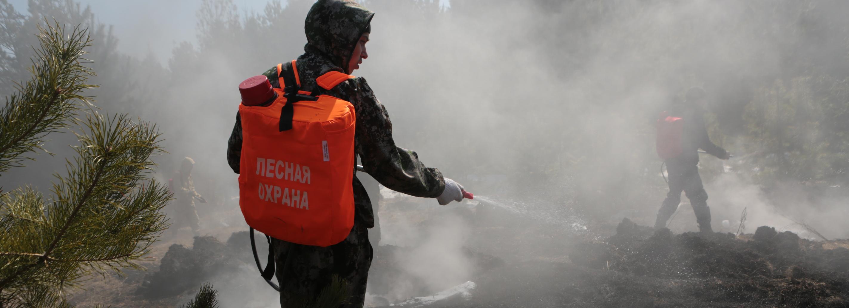Пожар в Кирзинском заказнике под Новосибирском удалось потушить