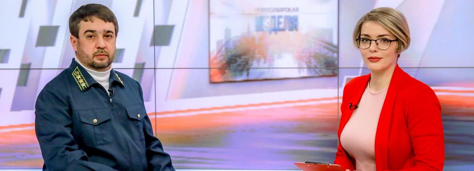 Кто в лесу хозяин: Заельцовский бор прошёл инвентаризацию