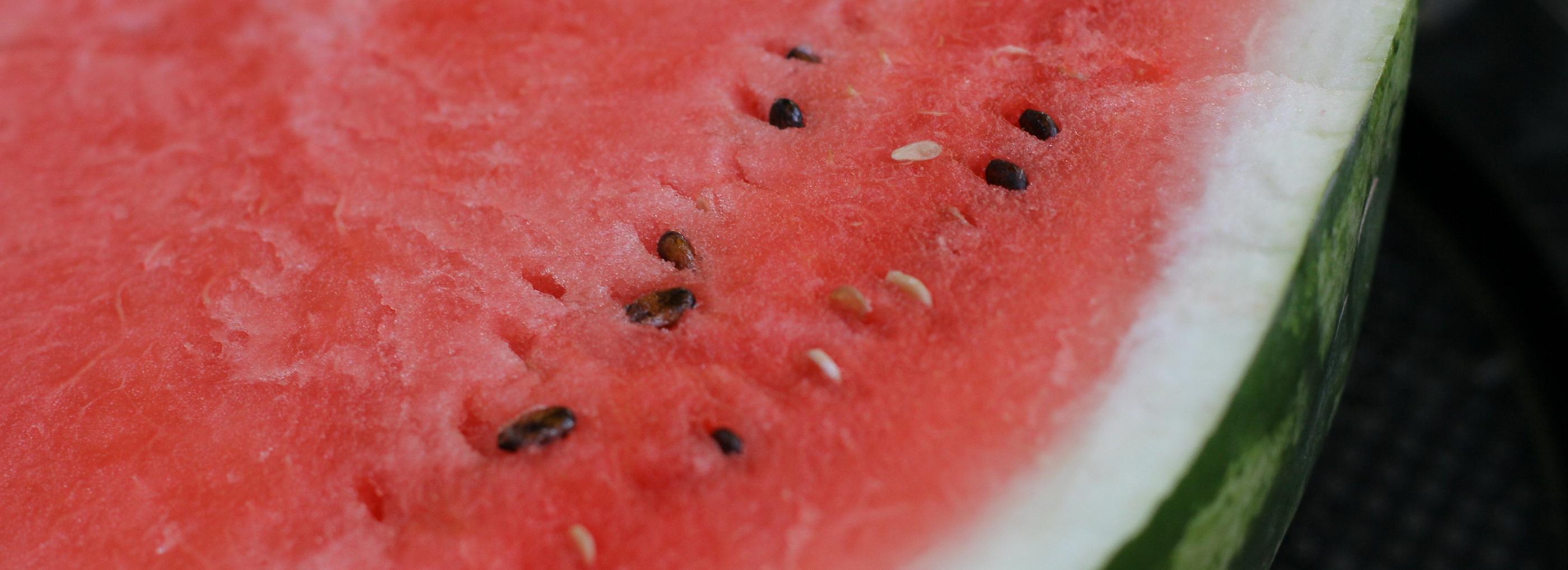 Арбузы, дача, теплоход: как проводят лето жители Новосибирска