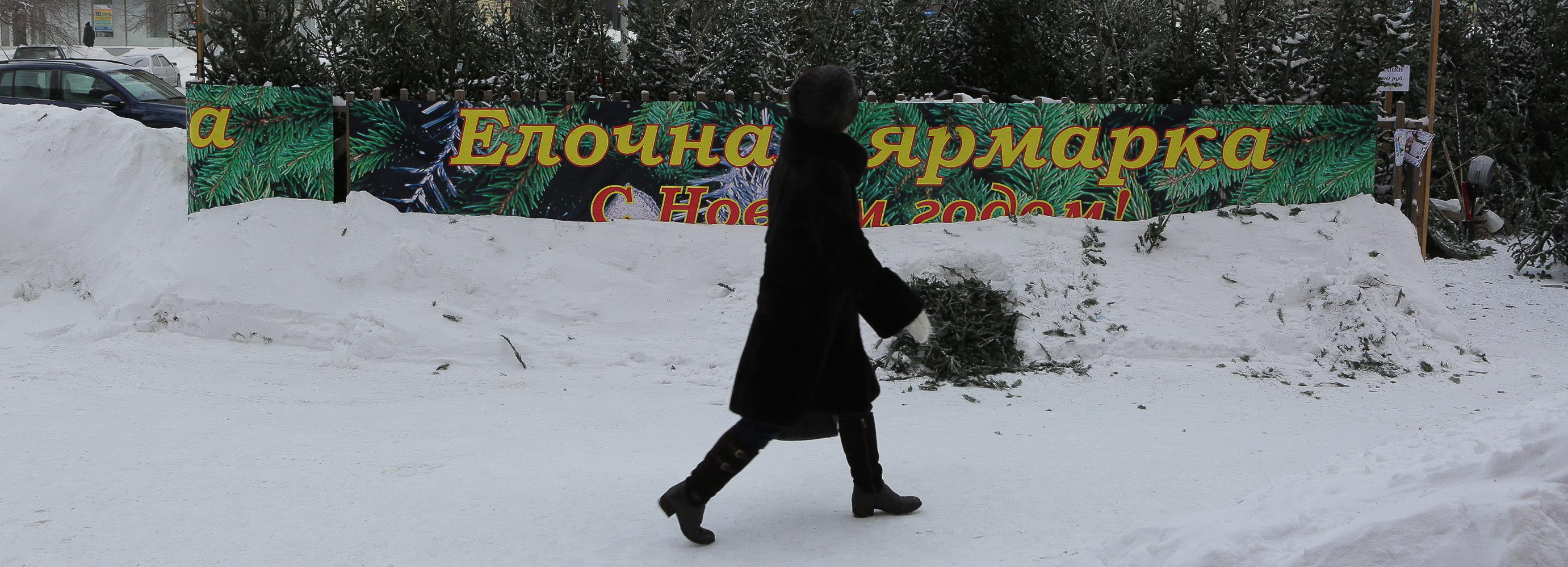 Придут ли 30-градусные морозы перед Новым годом — ответ синоптиков