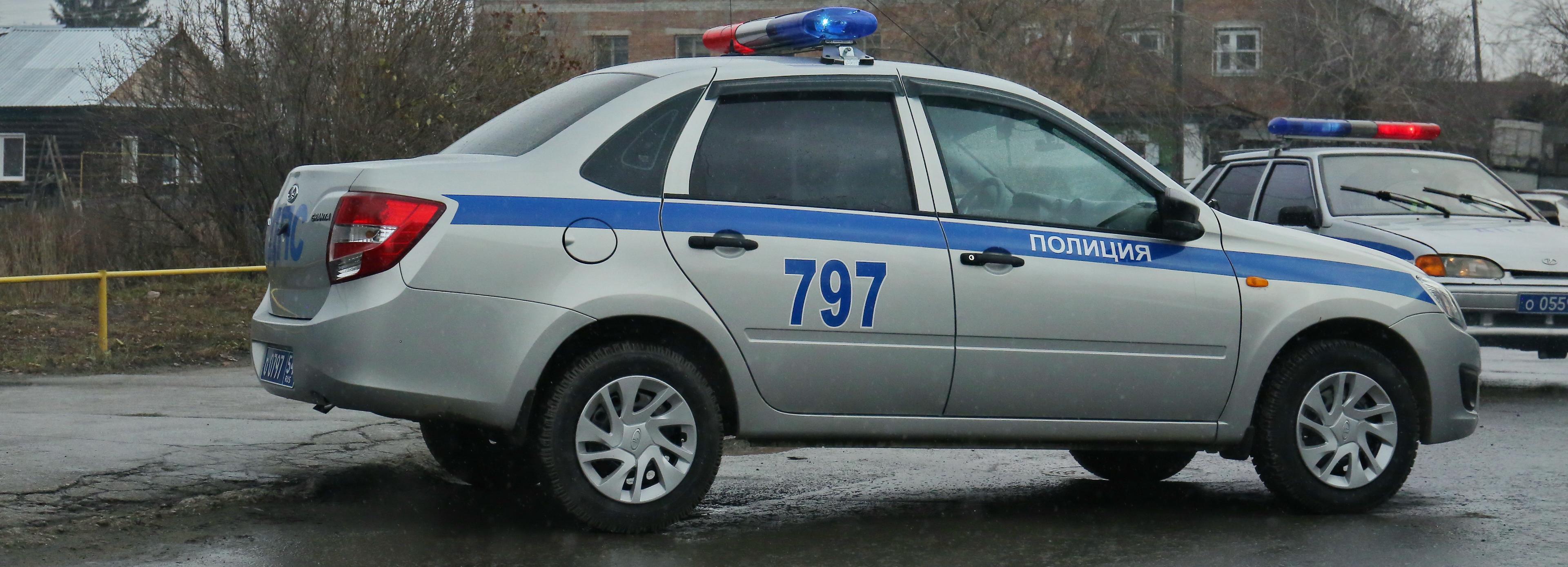 Два мешка мака за 40 тысяч вынесли из магазина под Новосибирском