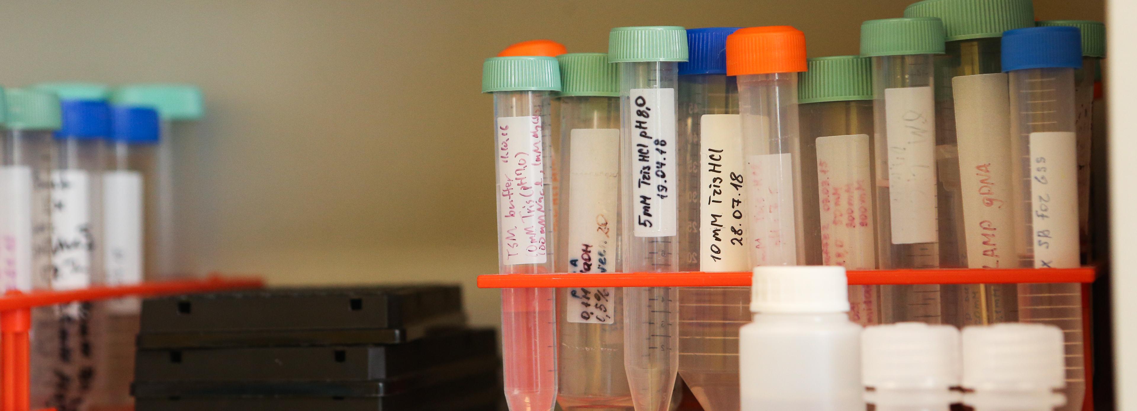 Уникальный препарат от сахарного диабета разрабатывают новосибирцы