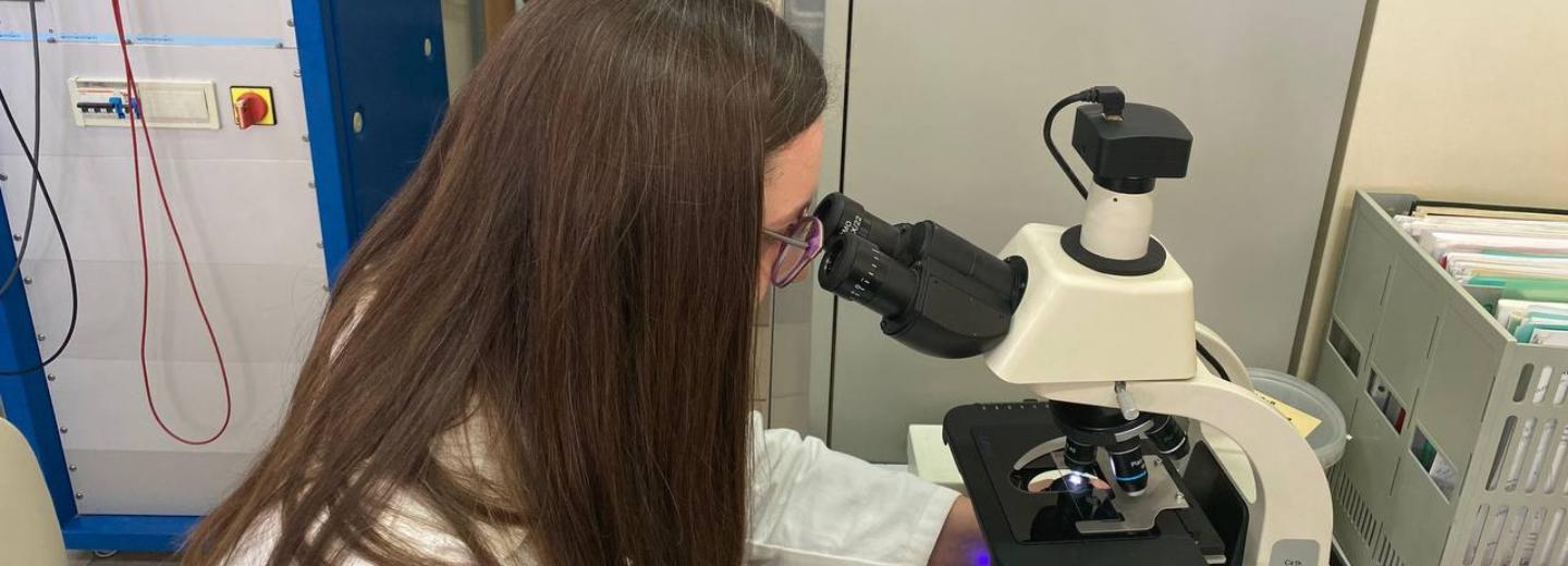 Препарат для здоровья коров и свиней разработали биотехнологи из Бердска