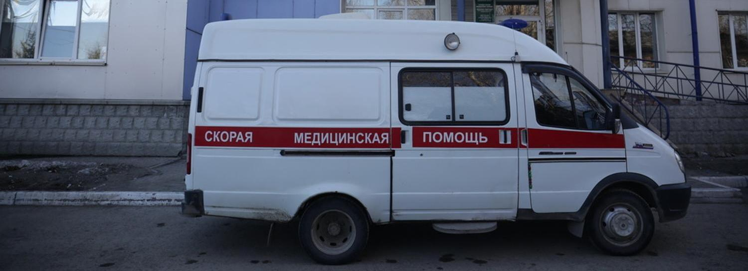 Опасные грибы-свинушки угрожают здоровью новосибирцев