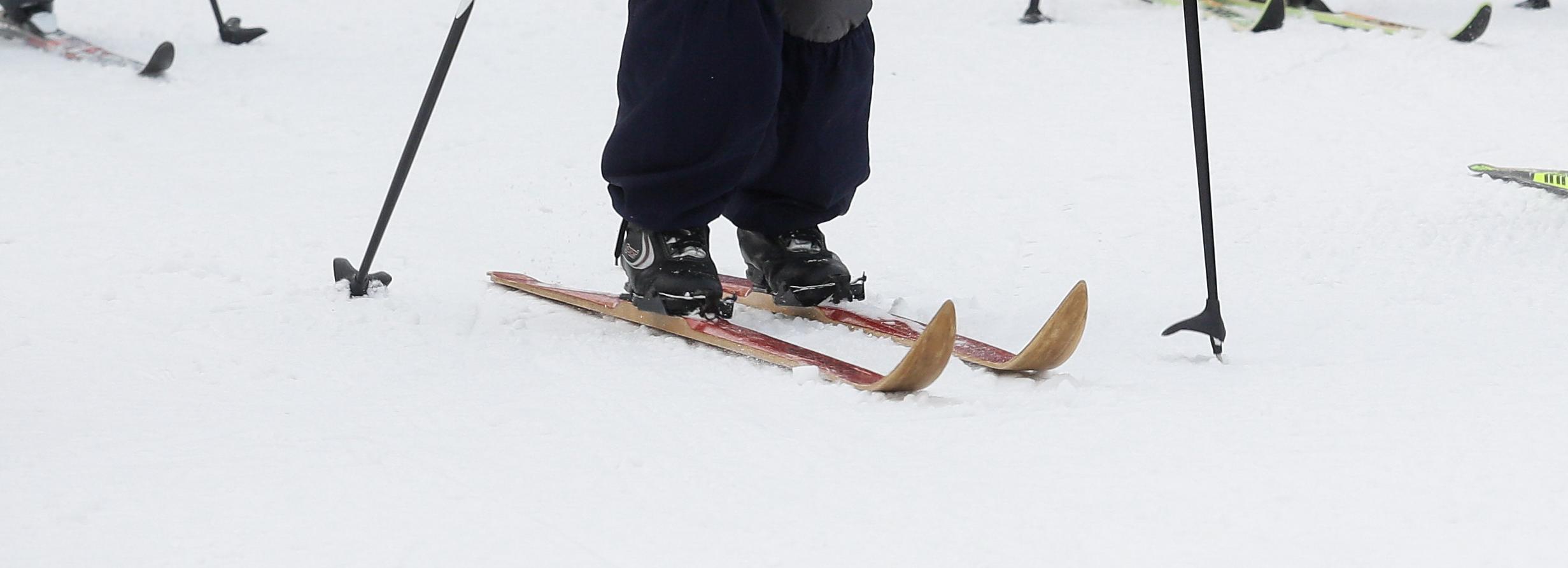 Ретрогонку на деревянных лыжах устроят в Заельцовском бору