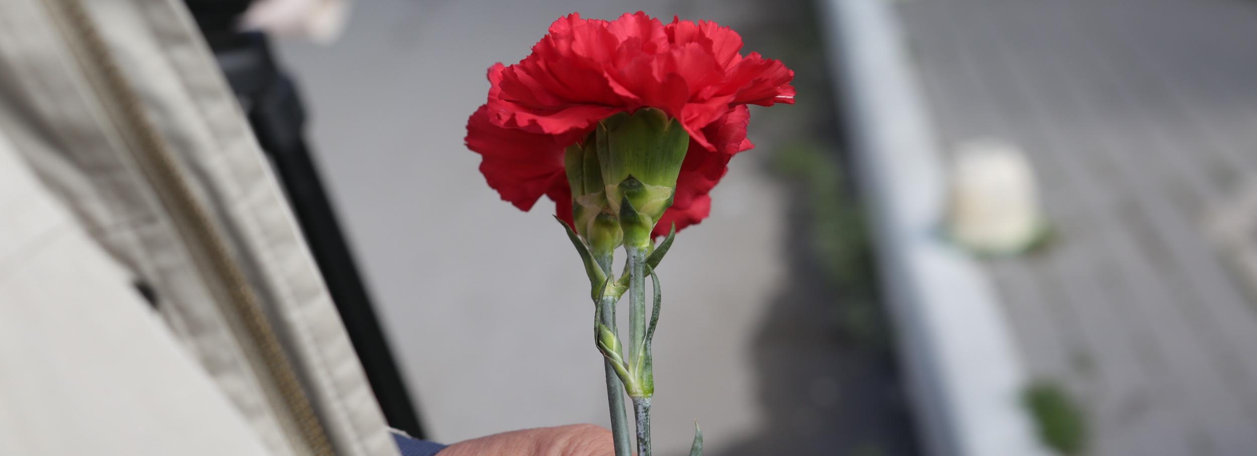 Приколоть к груди маленькие красные гвоздики предлагают новосибирцам