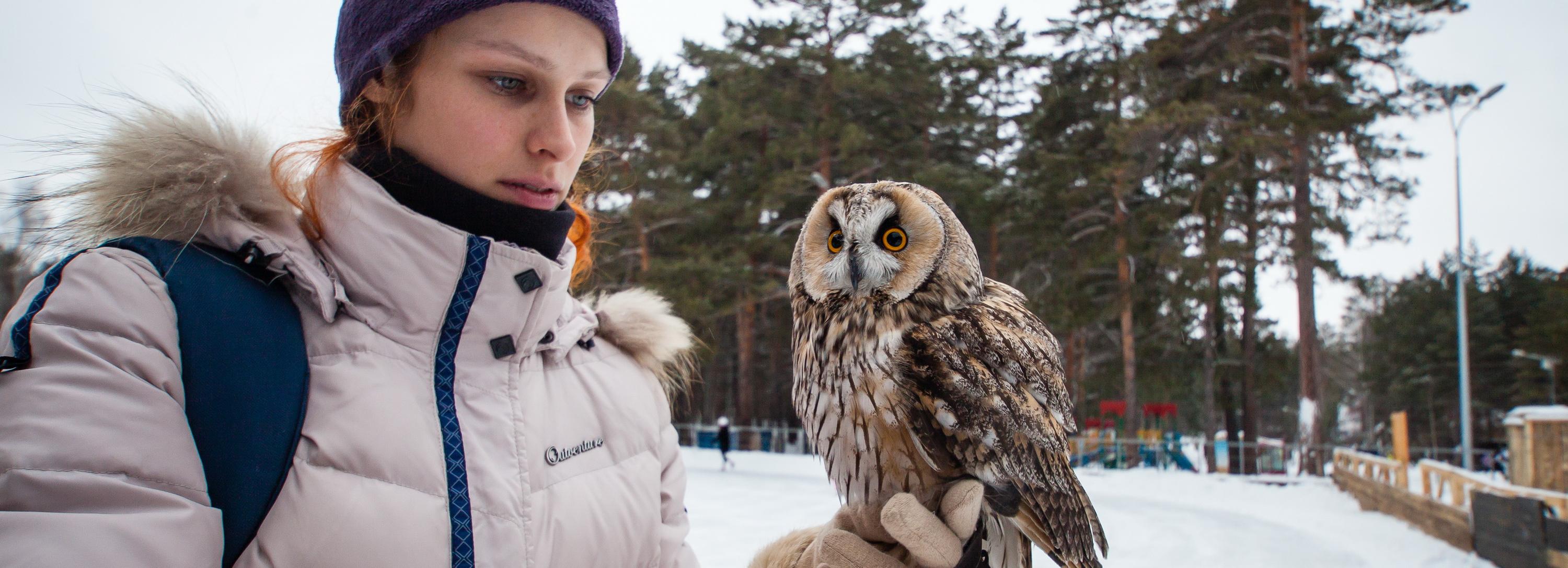 Совы в городе — примета весны: зачем лесные птицы прилетают к людям