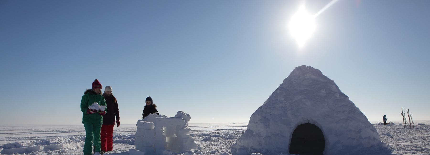 Если вы пропустили: Махорка на Ямале, музей 1960-х и телевизор из речки