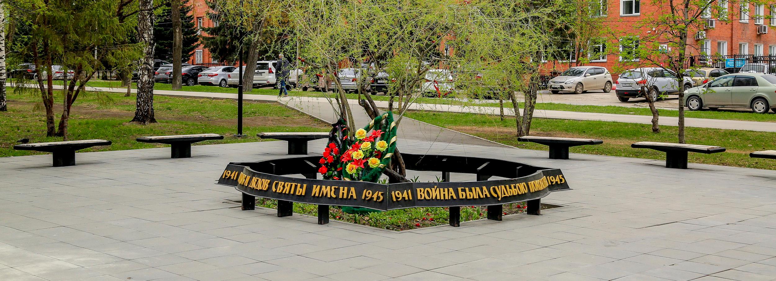 Новосибирцы не возражают против «Плакучей ивушки» и ещё 71 памятника