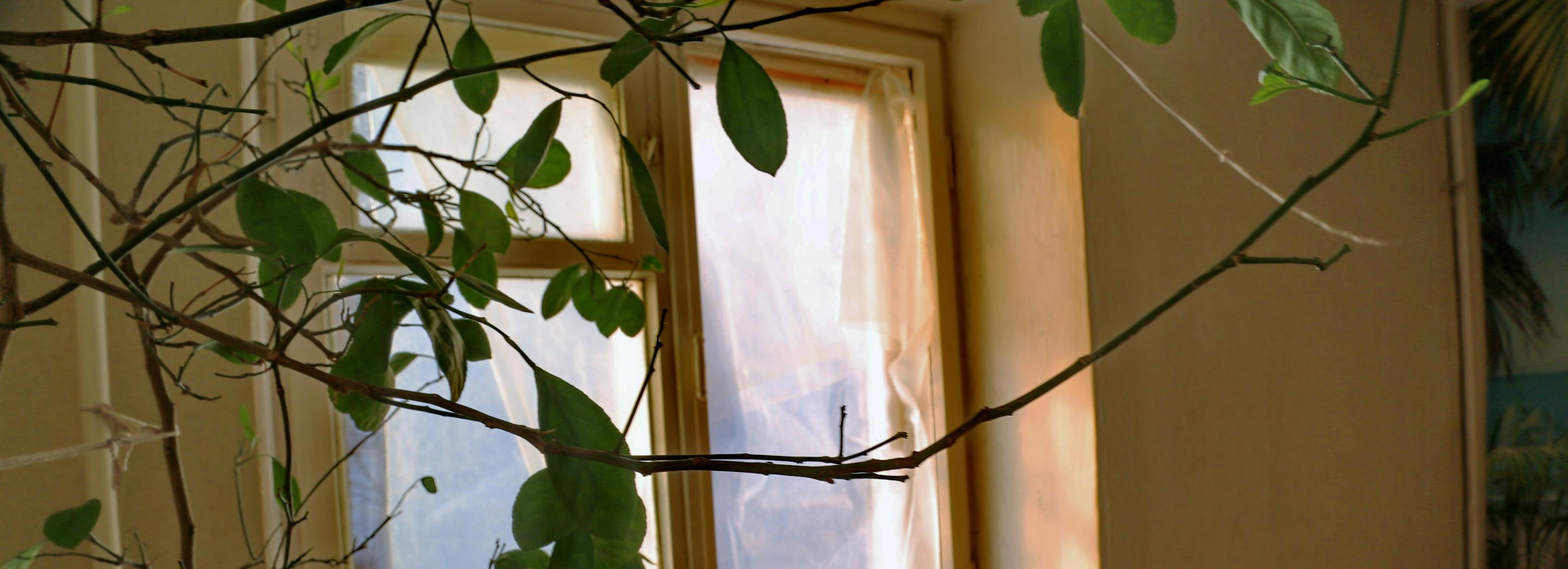 Подозрительные квартиры обследуют после взрыва газа на Линейной