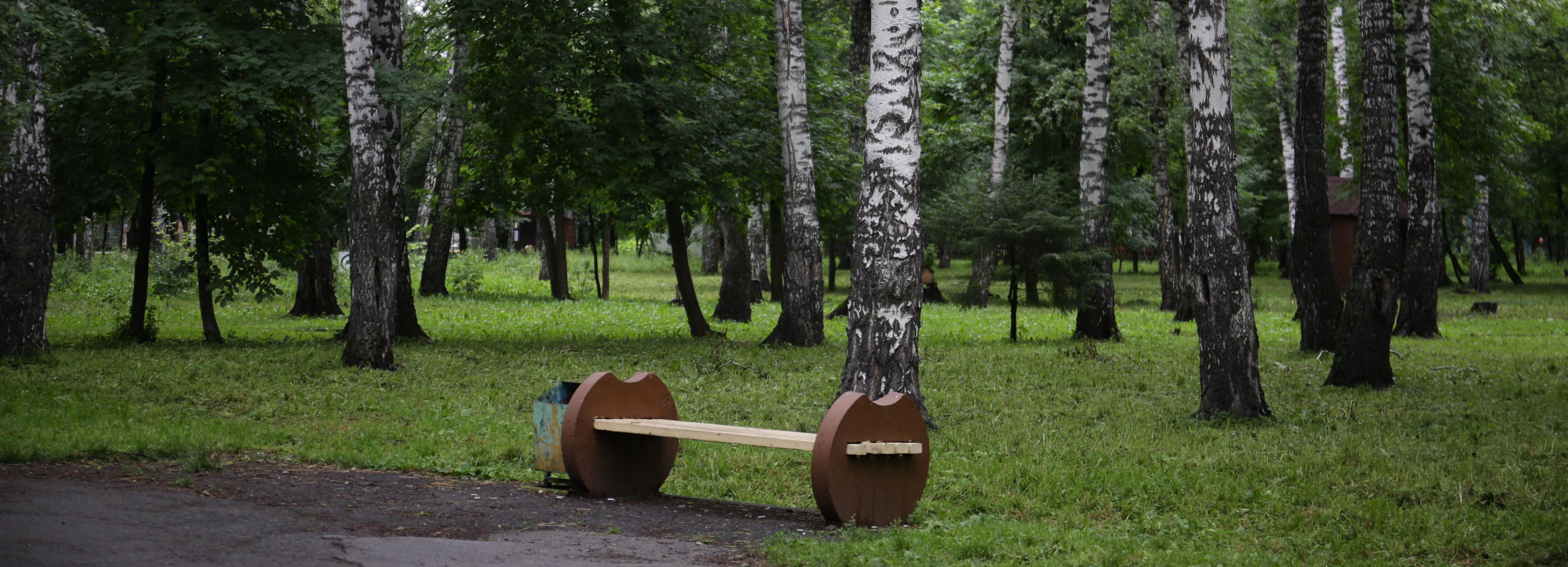 На реконструкцию парка «Берёзовая роща» потребуется около пяти лет