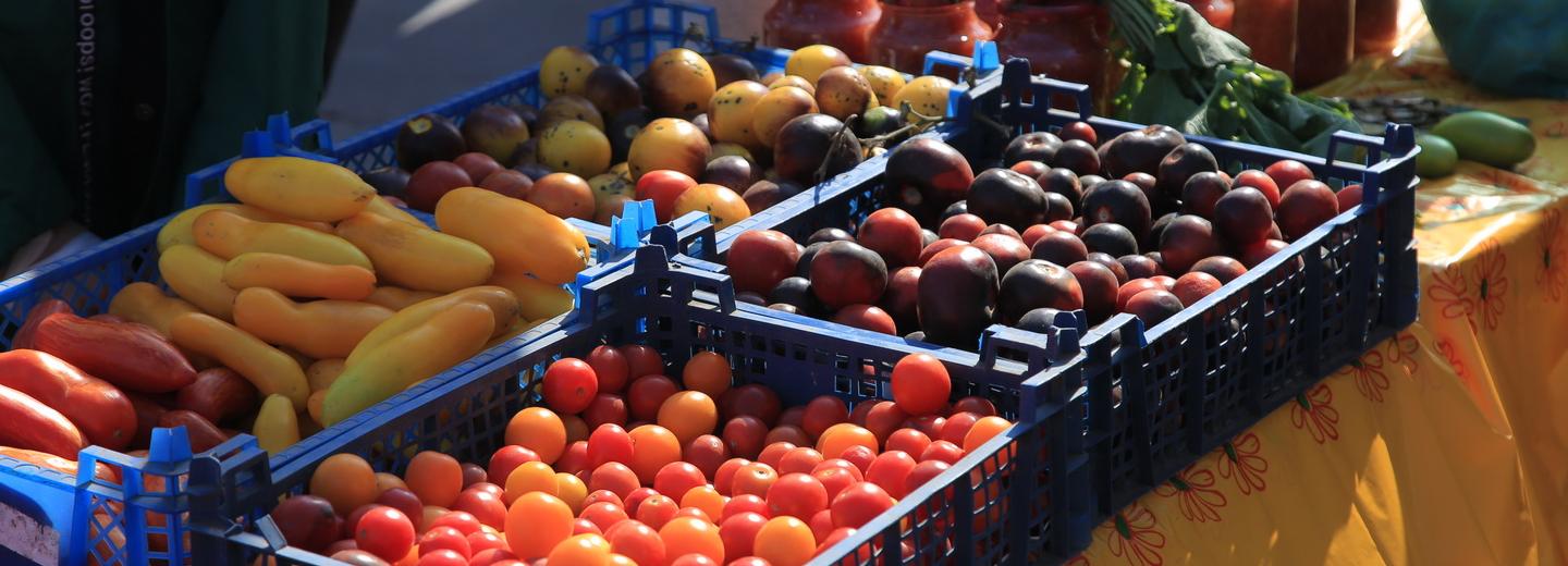 Большую ярмарку проведут в субботу на Северо-Чемском