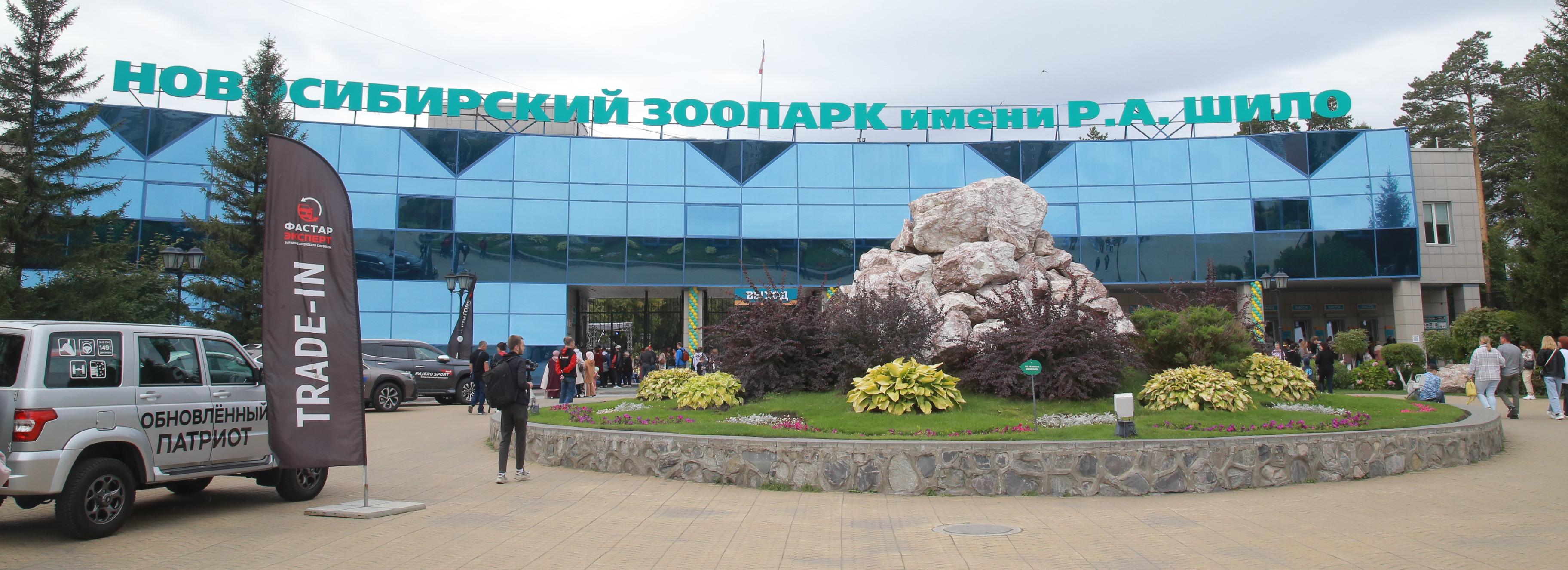 Летучих мышей выпустят из холодильника в природу в новосибирском зоопарке