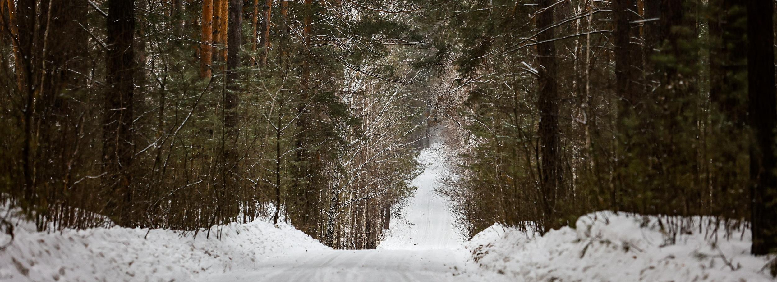 Браконьеров поймали на убийстве 148 зверей за год в Новосибирской области
