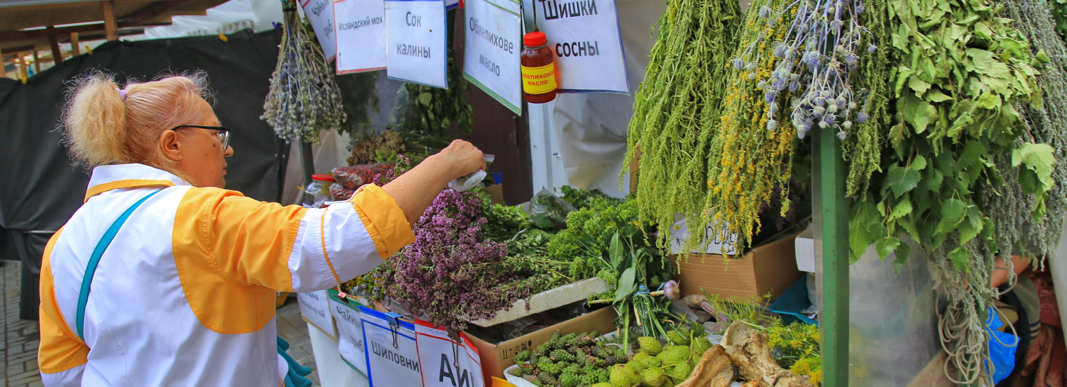 Лучше, чем таблетка: как заготовить полезный травяной чай на зиму