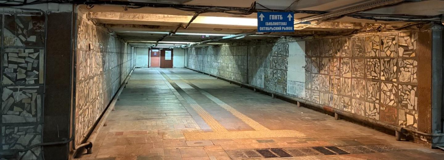 Косметический ремонт запланировали в подземном переходе у ГПНТБ