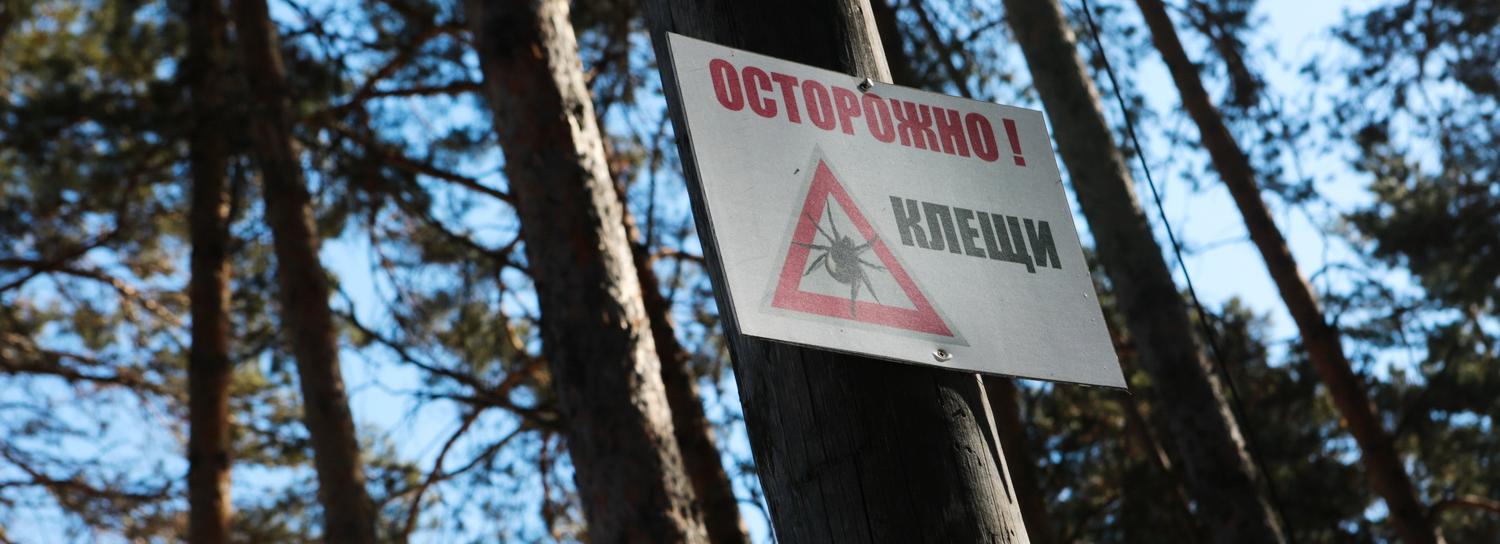 Территорию новосибирского зоопарка обработали от клещей