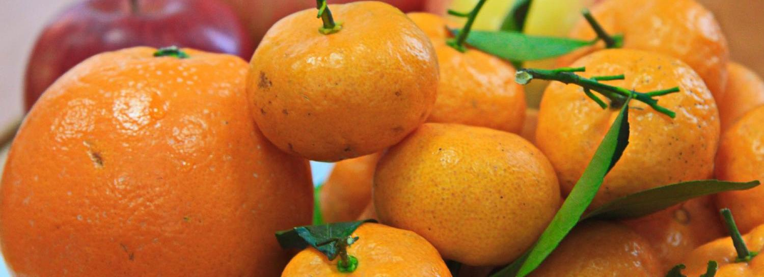 Ящик мандаринов подарят «Новосибирские новости» за лучшее новогоднее фото