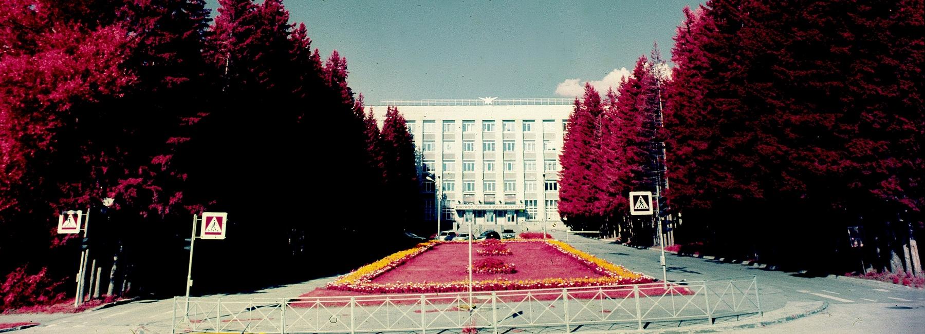 Если вы пропустили: отдых от ковида, инфракрасные фото и ныряющий мишка