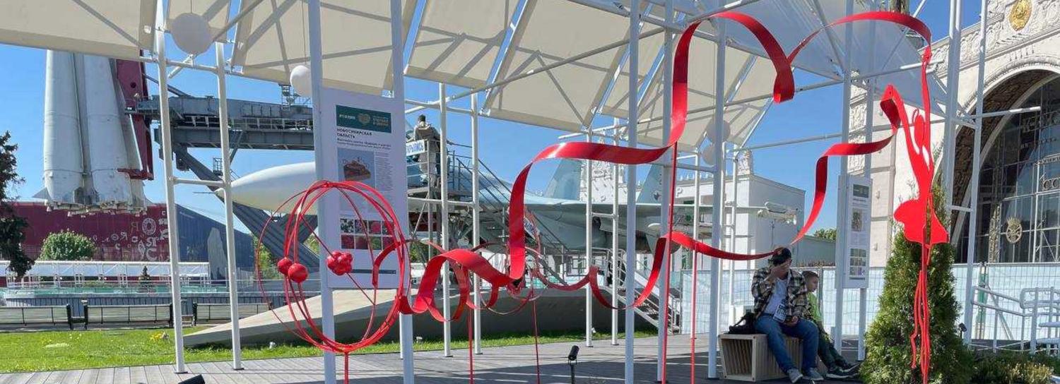 Ирисы стали цветочным символом Новосибирской области на ВДНХ